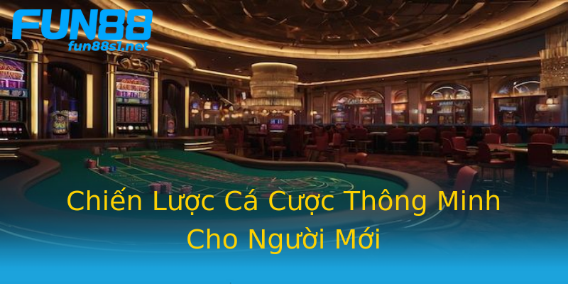 Chiến Lược Cá Cược Thông Minh Cho Người Mới Chiến Lược Cá Cược Thông Minh Cho Người Mới