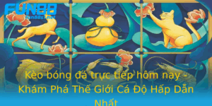 Keo Bong A Truc Tiep Hom Nay Kham Pha The Gioi Ca O Hap Dan Nhat